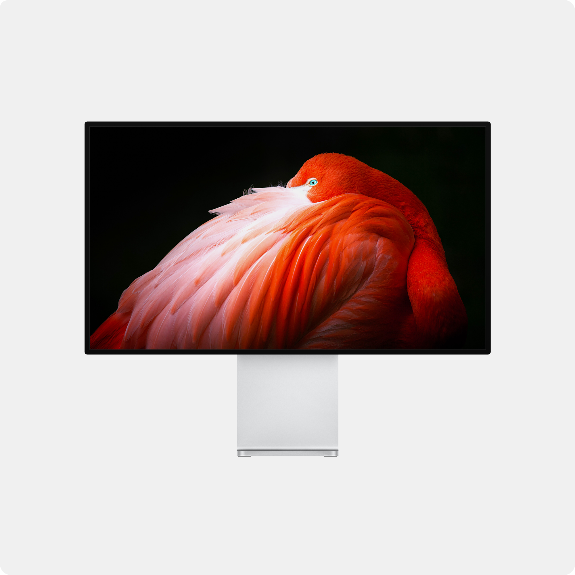 Màn hình Apple Pro Display XDR