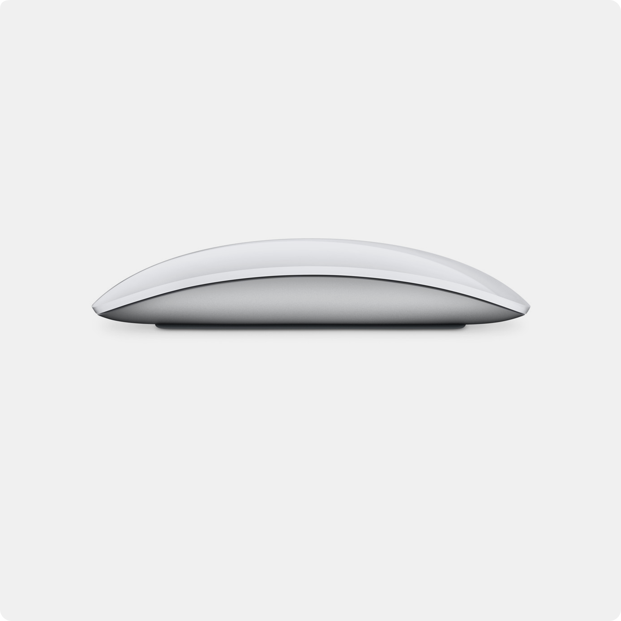 Chuột Magic Mouse (USB‑C)