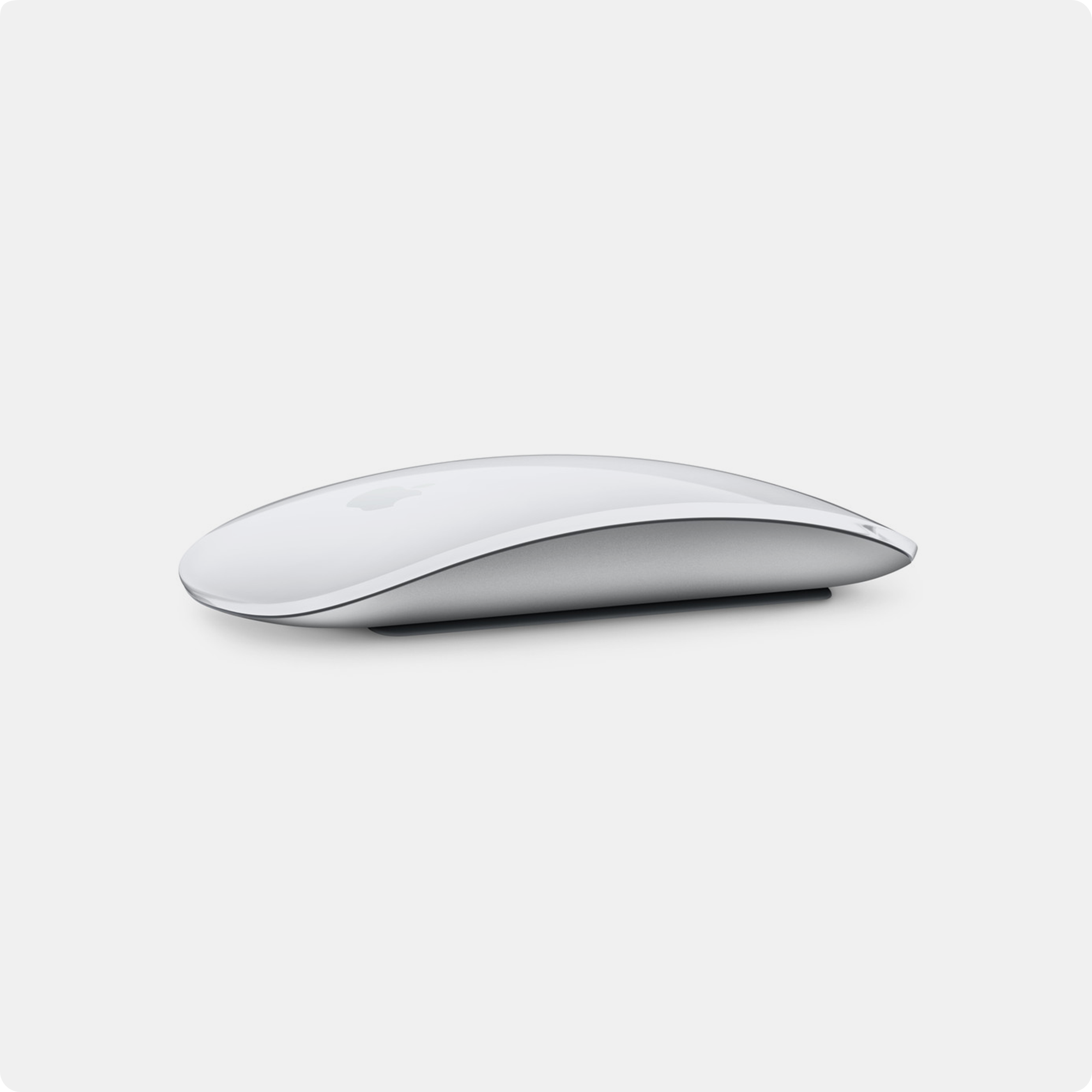 Chuột Magic Mouse (USB‑C)