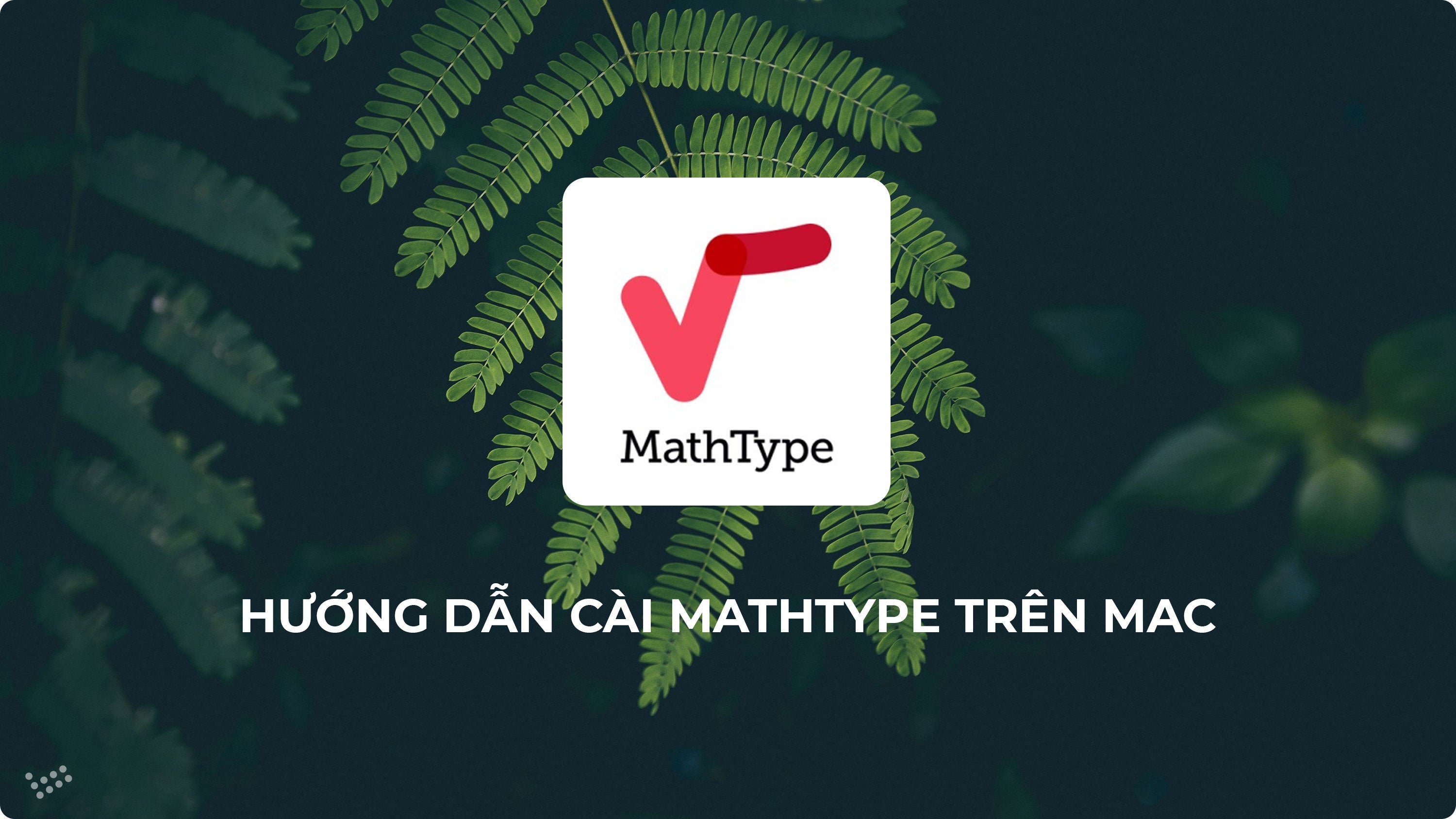 Hướng dẫn cài đặt MathType trên Macbook (Mới nhất)